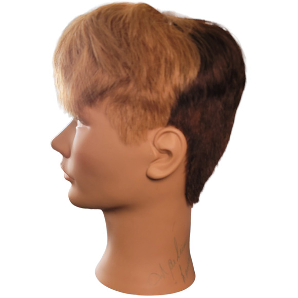 Mannequin Head Hairdressing Cosmetology 100% Human Hair Practice Training Doll - Picture 3 of 7